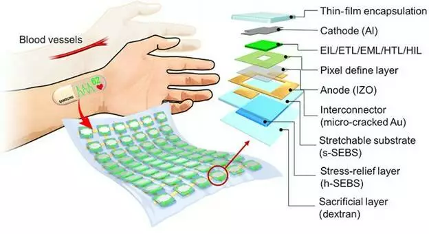 Samsung’s stretchable heart monitor display